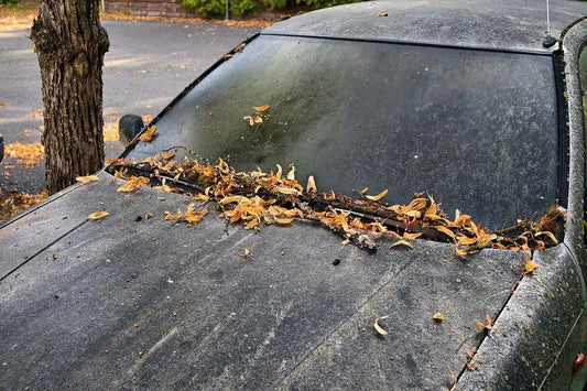 Så skyddar du bilen mot fågelbajs och träd­sav